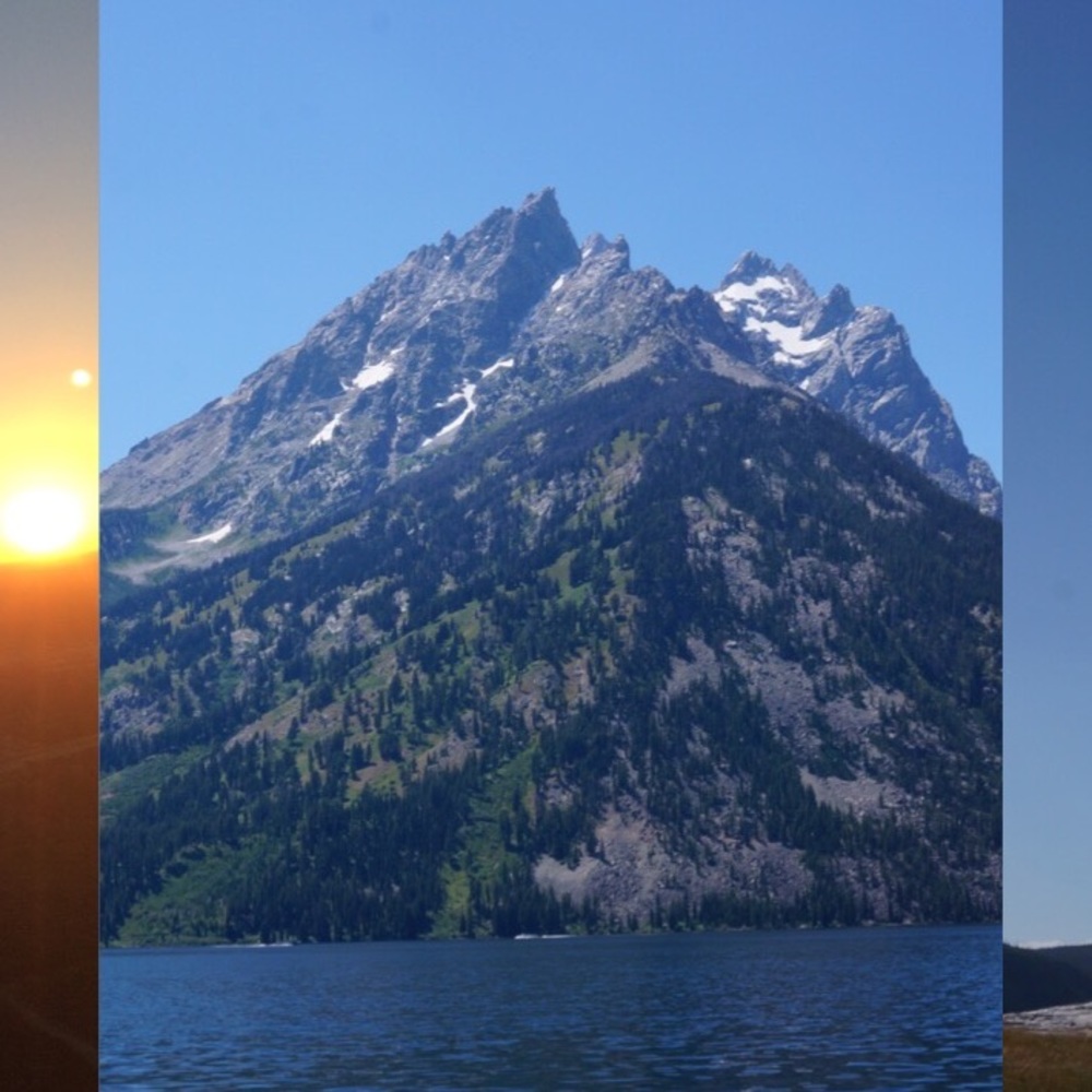 Meet your Posher, Benjamin